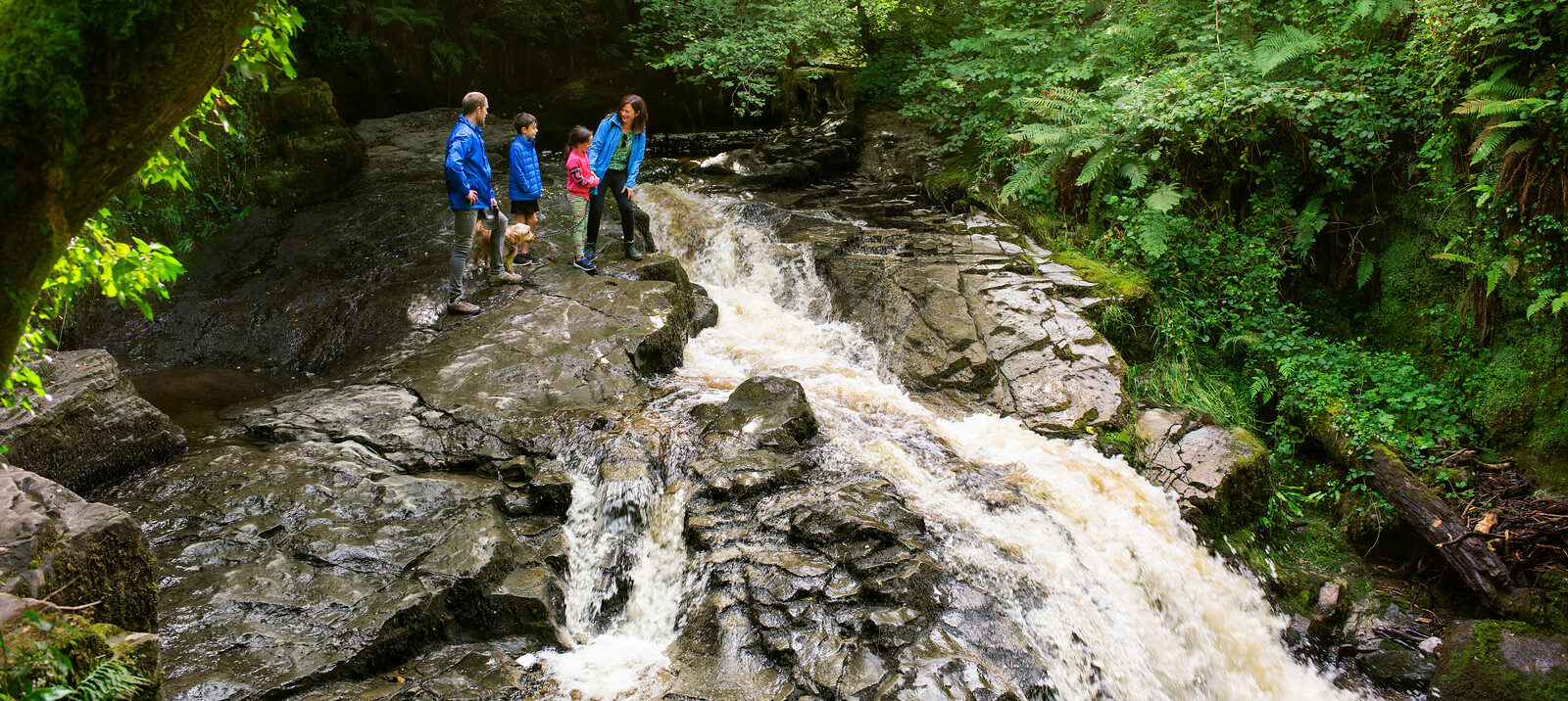 Walking in the Slieve Bloom Mountains