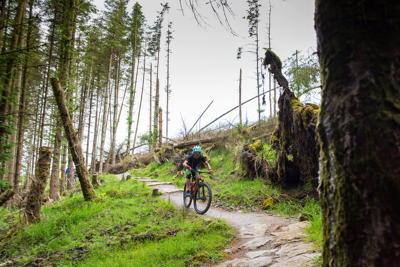 Mountain Biking Visit Offaly
