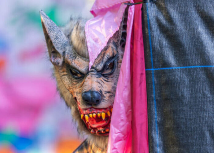 Werewolf mask with sharp teeth behind pink fabric