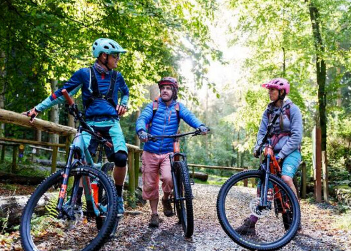 Three Mountain Bikers On A Wooded Trail