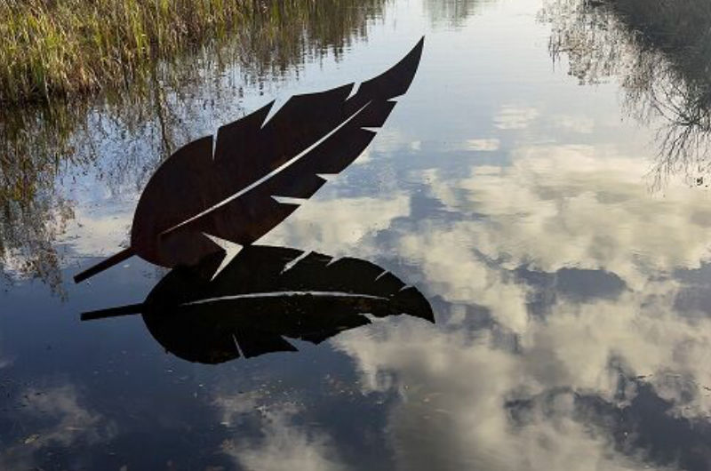 Metal Feather Sculpture Reflecting In A Still Pond