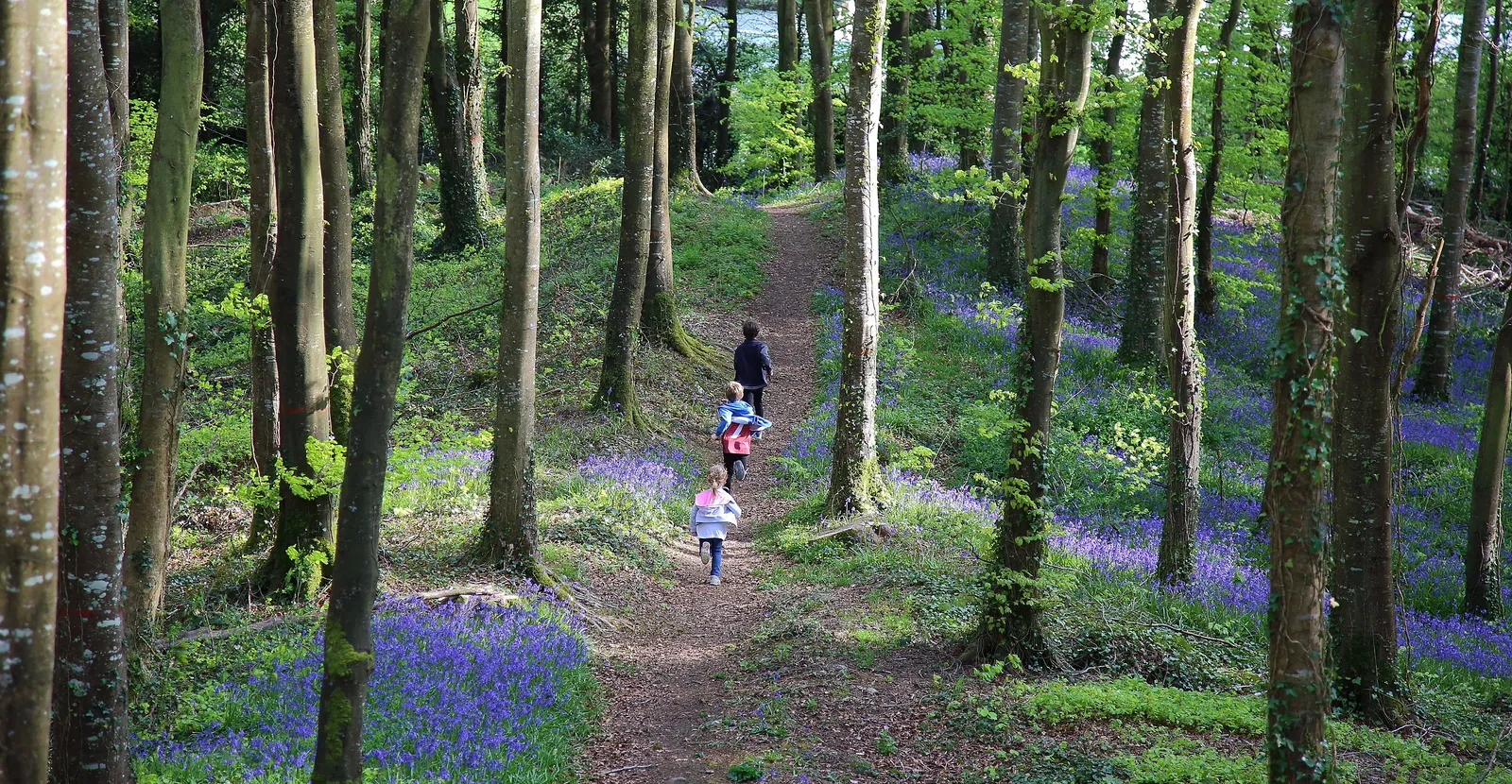 hero things to do kids in forest