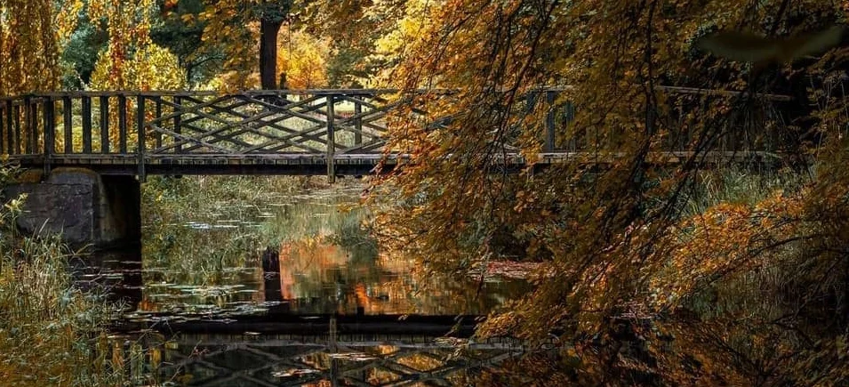 autumn bridge