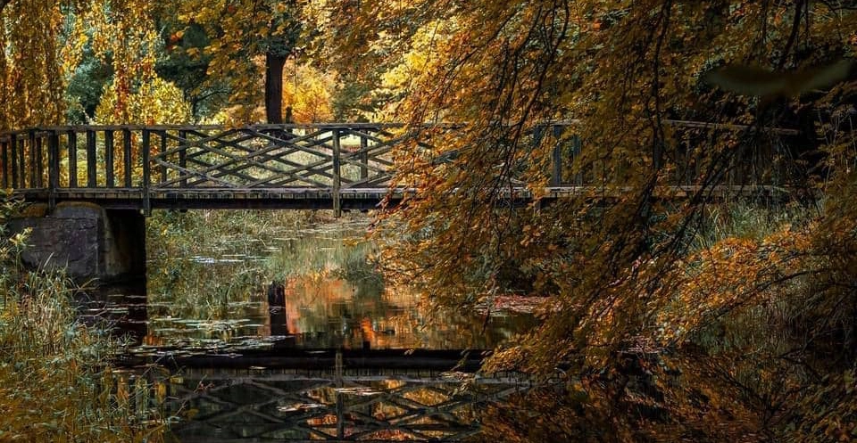 autumn bridge