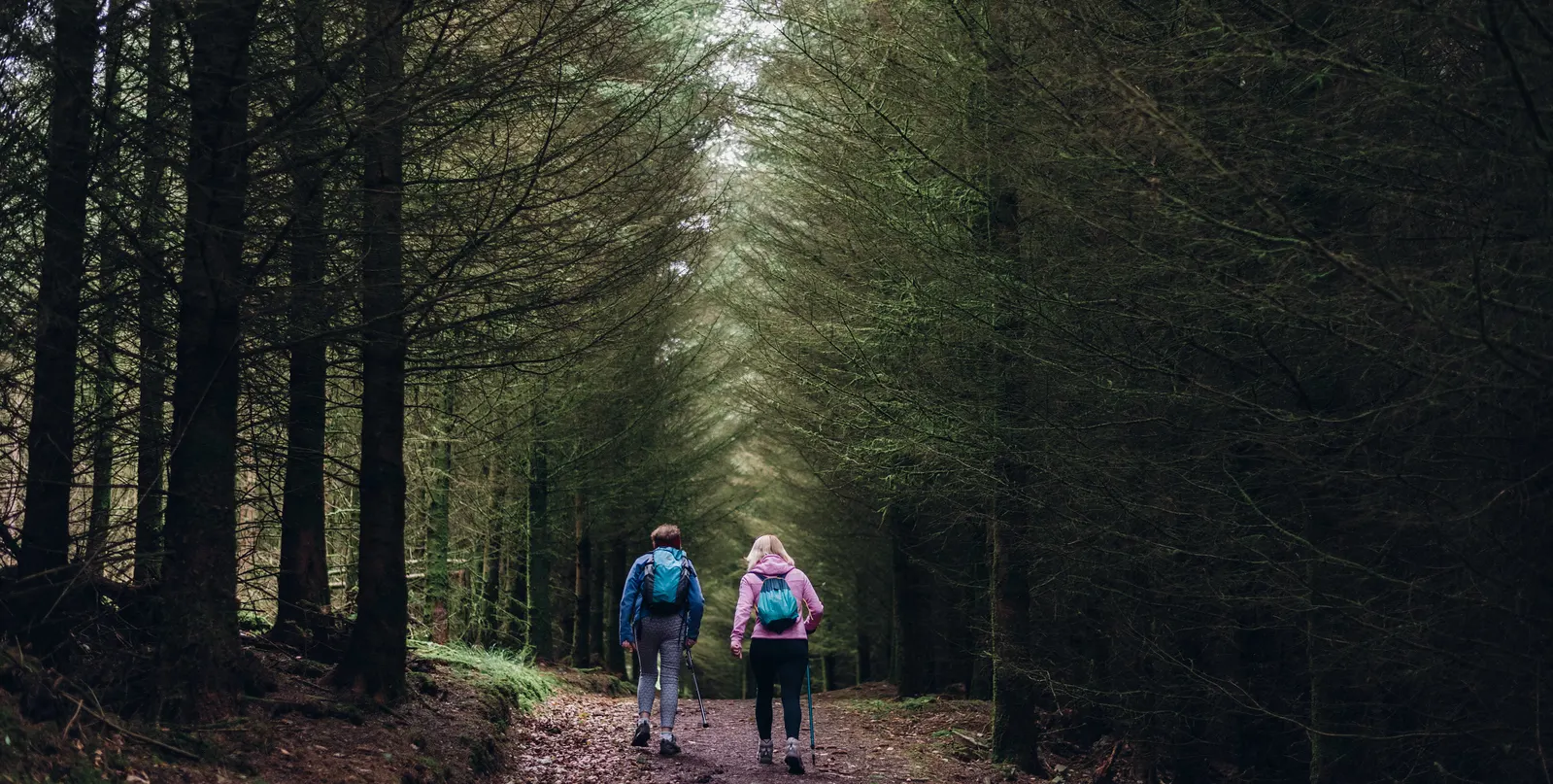 two people walking in dense forest