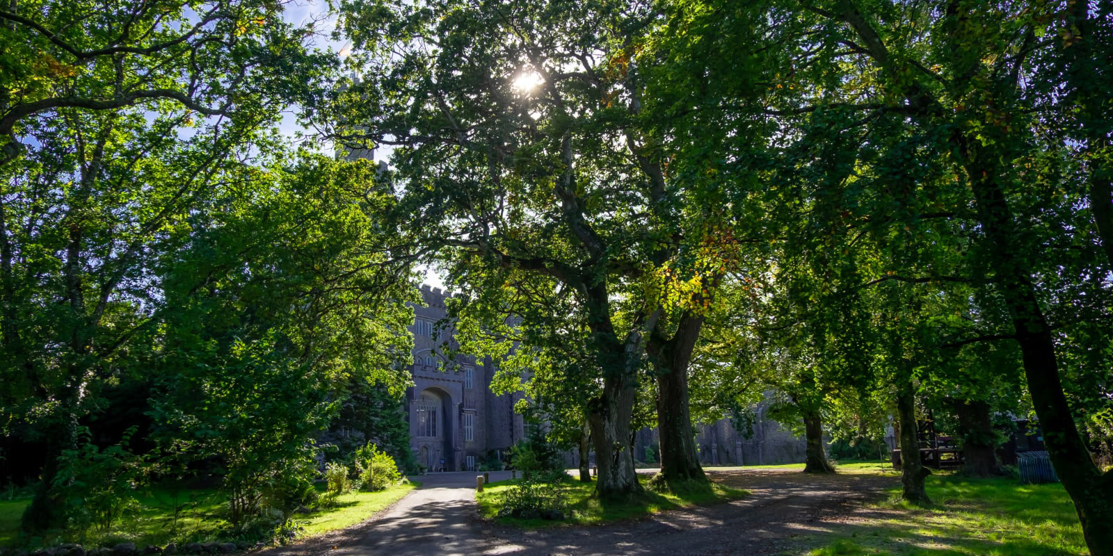 Castle Partially Hidden By Large Green Trees