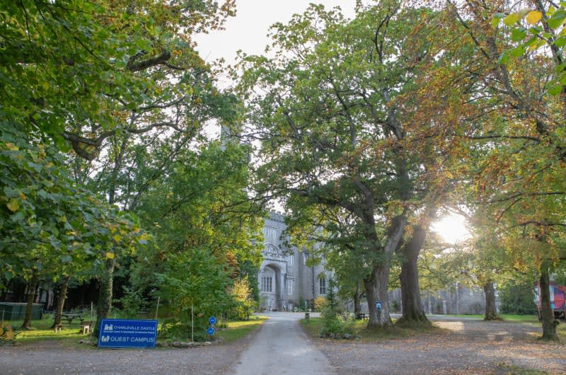 Charleville Castle entrance with large leafy trees