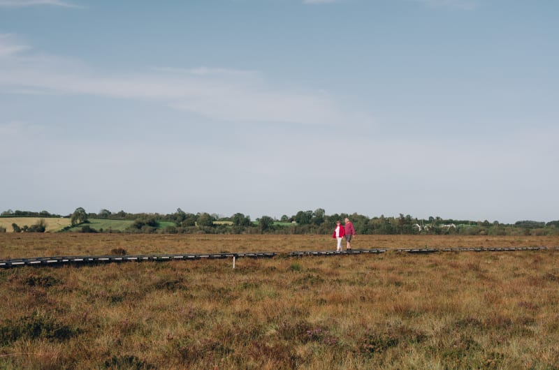 Couple Walking On Wooden Boardwalk In Open Field