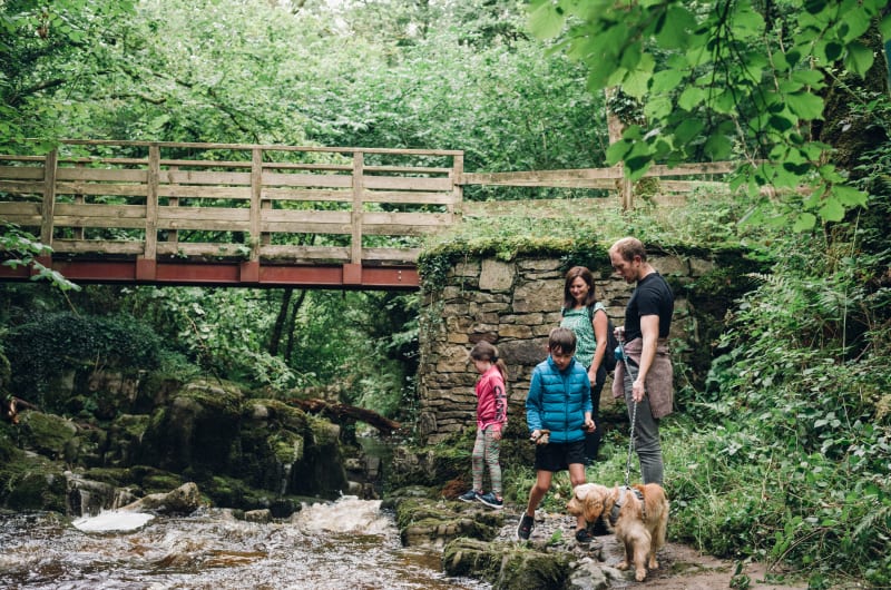 Family And Dog By A River Under Bridge