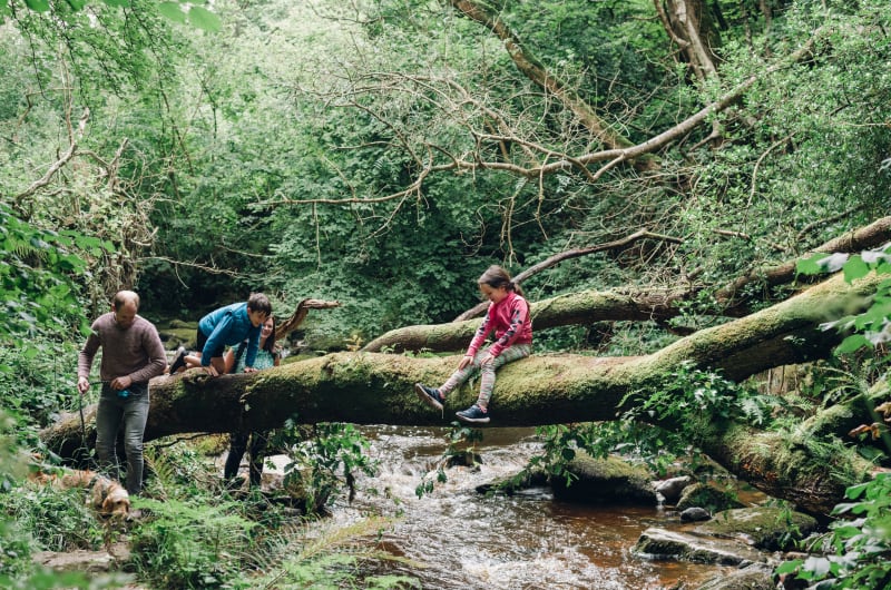 Family With Dog On Mossy Log Over Stream
