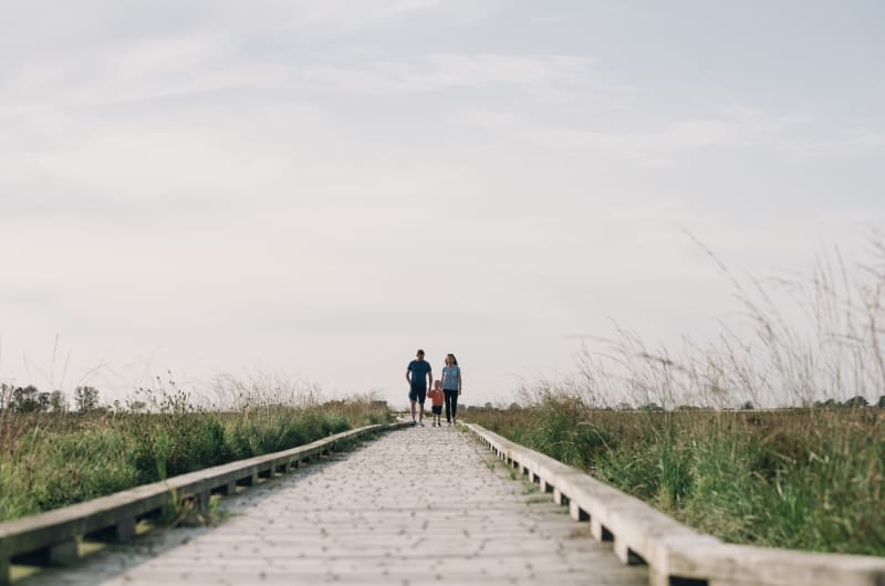 Family walking on a wooden boardwalk in nature