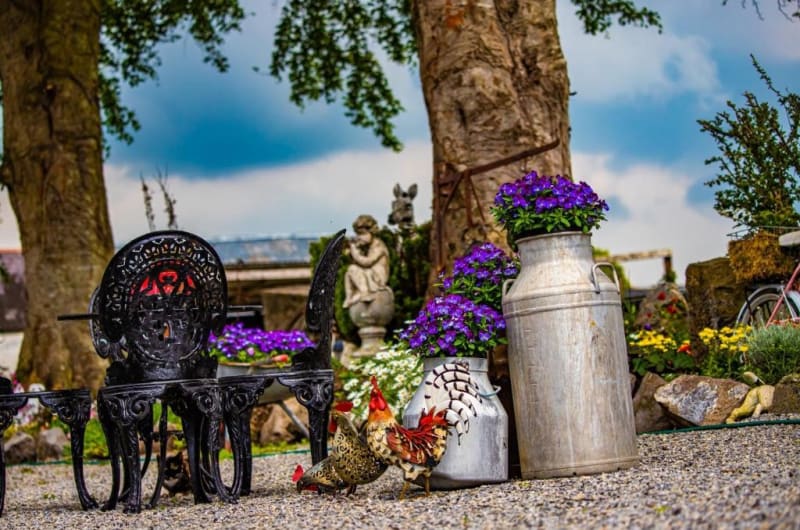 Garden Decorations With Milk Churn And Purple Flowers