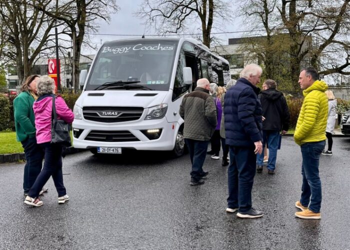 Group Gathered Near Buggy Coaches White Minibus