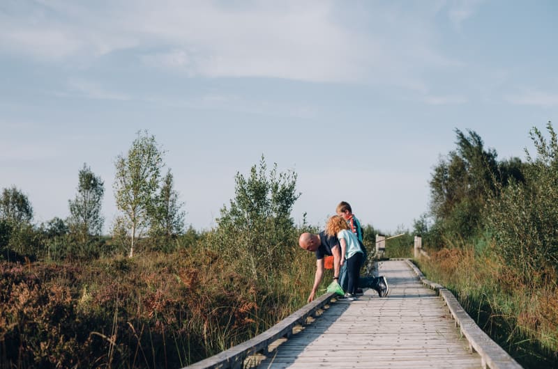 Man And Children Exploring Nature On Boardwalk