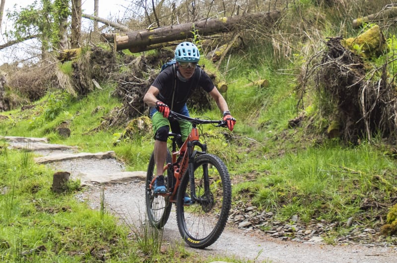 Mountain Biker Riding On A Rocky Forest Trail