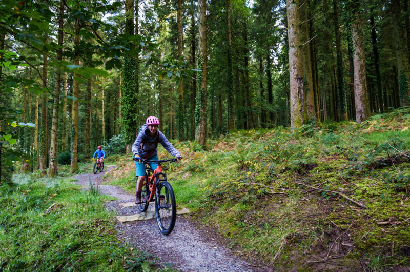 Mountain Bikers Riding Forest Trail In Slieve Bloom