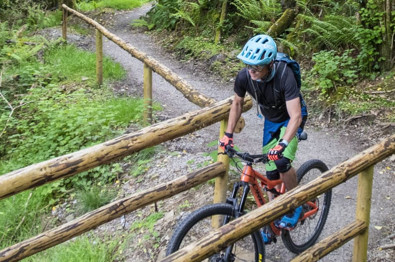 Mountain biker crossing wooden bridge in green forest
