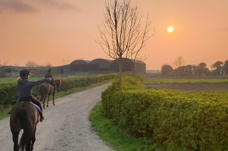 People riding horses on path during orange sunset