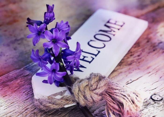 Purple Hyacinth Flowers With Welcome Sign On Wood