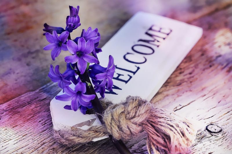 Purple Hyacinth Flowers With Welcome Sign On Wood