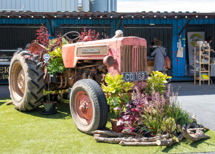 Red International tractor decorated with plants at market