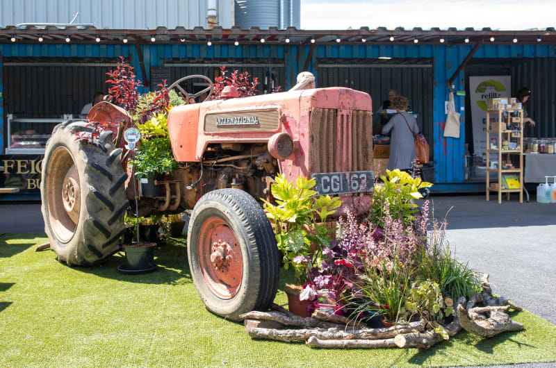 Red International tractor decorated with plants at market