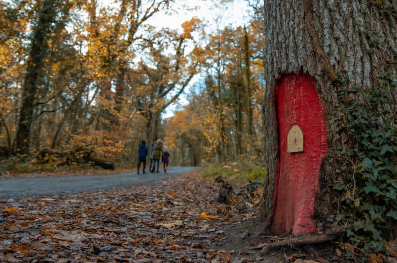 Red door painted on tree in autumn woods