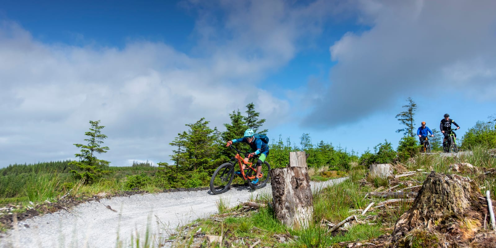 Slieve Bloom Mountain Bike Trails