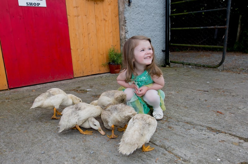 Smiling girl in green dress with several ducks