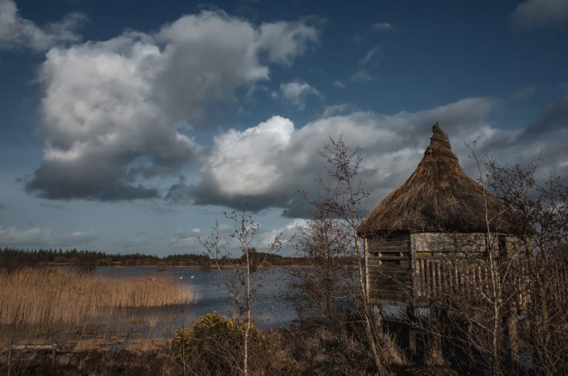 Thatched Wooden Bird Hide Tumduff Beag Wetlands