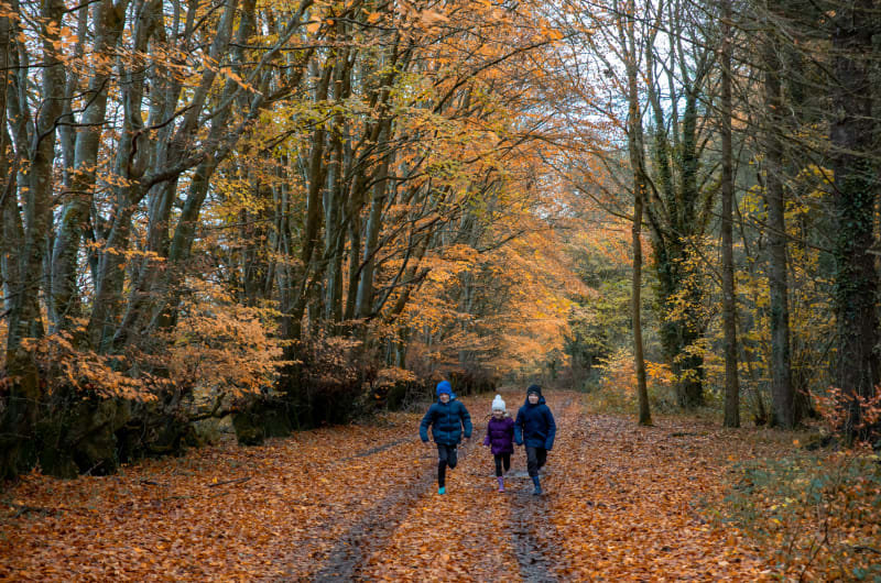 Three children running on autumn leaf covered path