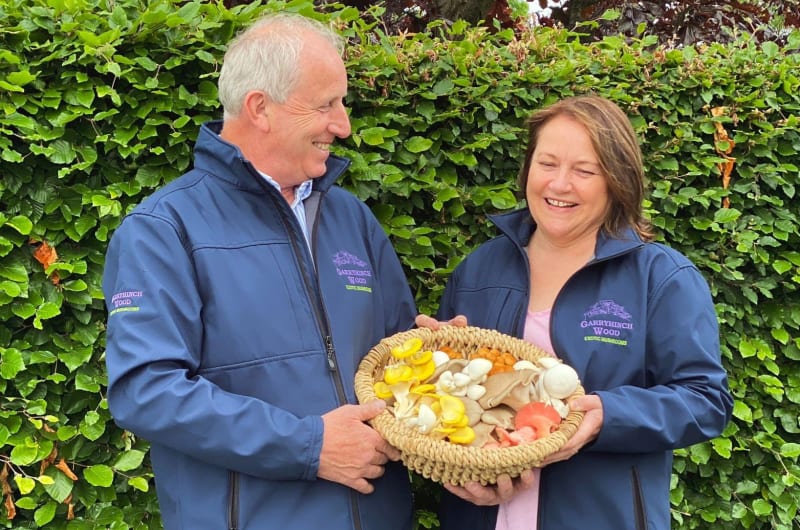 Two People Holding Basket Of Garryhinch Wood Mushrooms