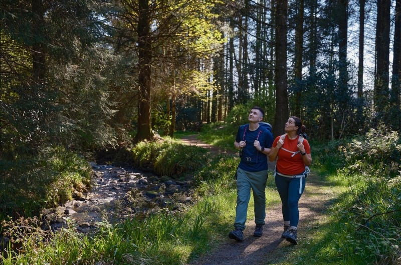 Two hikers walking on forest trail beside stream
