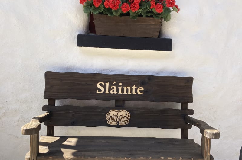 Wooden Bench With Slainte Text And Red Flowers