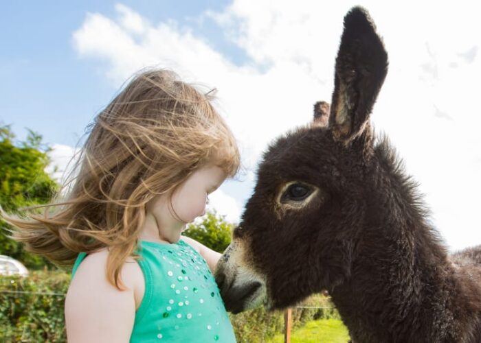 Young Girl In Green Top With Dark Donkey