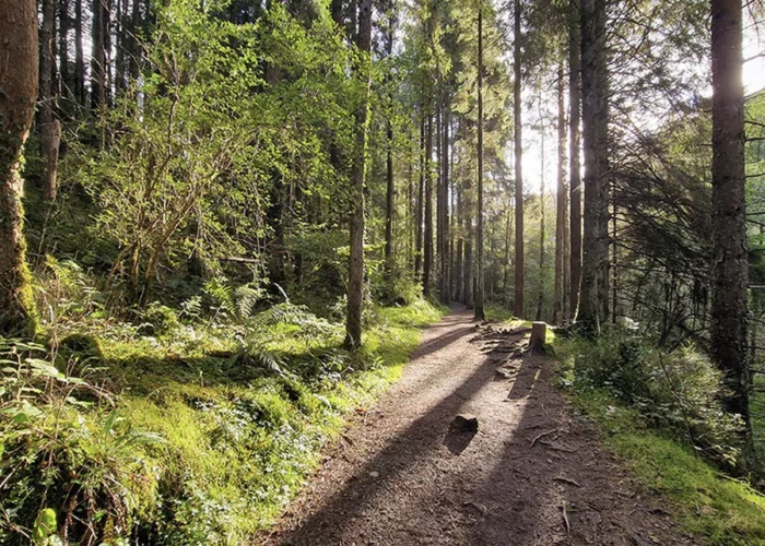 category slieve bloom mountains