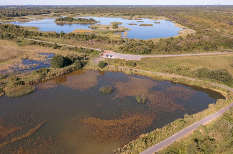Aerial View Of Wetland Ponds And Walking Trails ltojyq