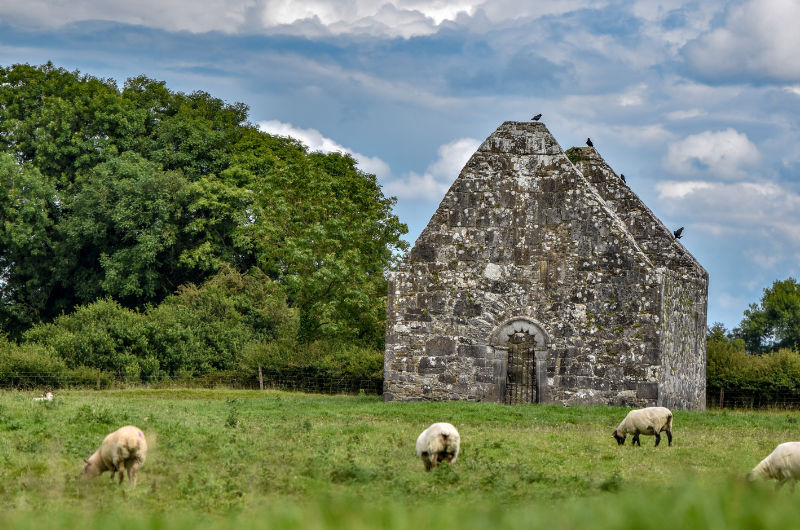 Ancient Stone Building With Sheep In Field
