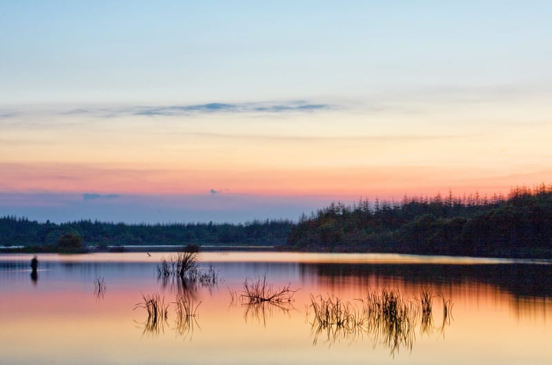 Calm Sunset Lake Reflection With Reeds And Trees ifuxox