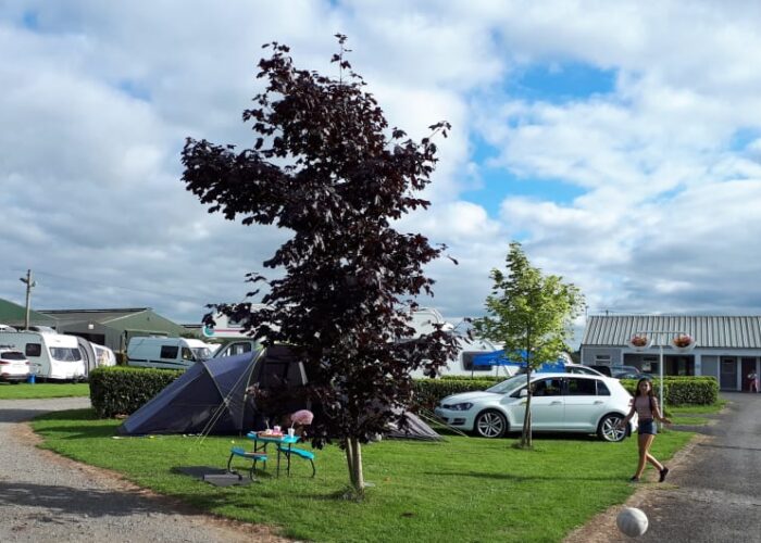 Campsite With Tents Caravans And Dark Leaved Tree myedap