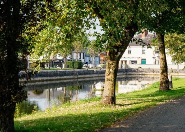 Canal In Edenderry With Trees And Buildings dmbxyx
