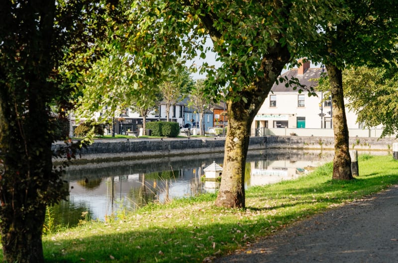 Canal In Edenderry With Trees And Buildings dmbxyx