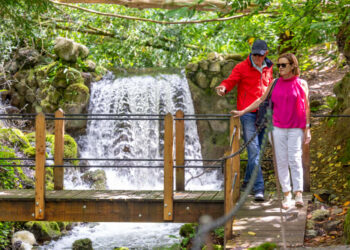 Couple on wooden bridge in front of waterfall