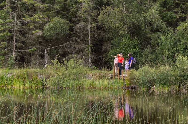 Four People By A Lake In The Forest l4fwdq