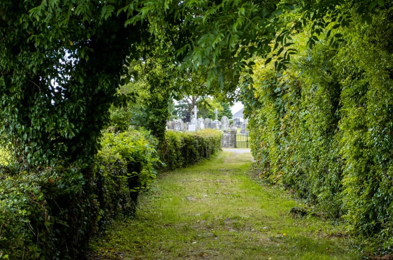 Grassy path framed by hedges leading to cemetery styasf