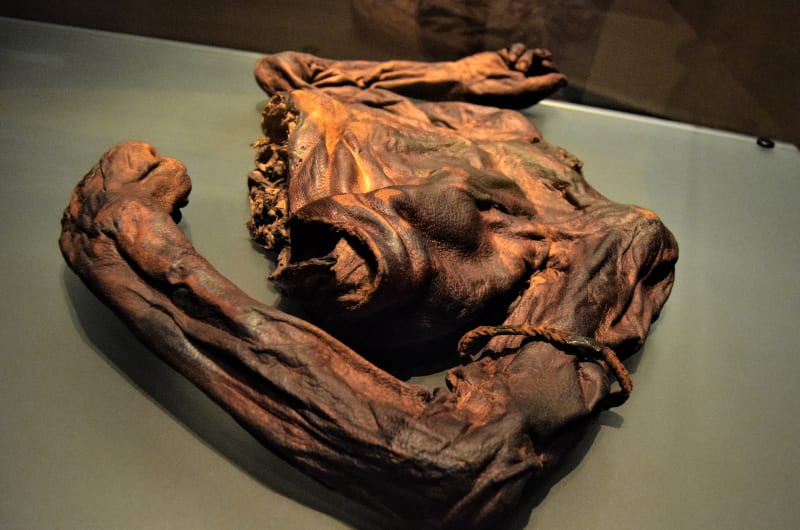 Mummified Human Torso Of Old Croghan Man
