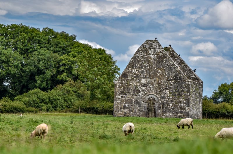 Old Stone Building In Field With Grazing Sheep