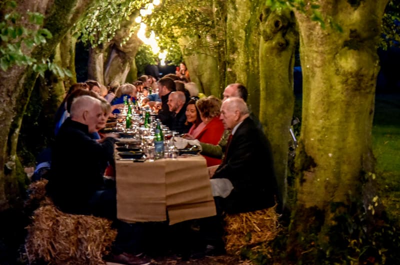 Outdoor dinner party under illuminated tree canopy