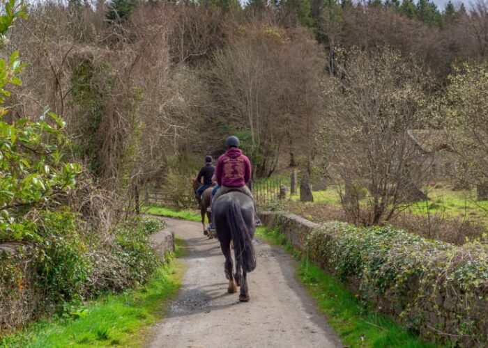 People Riding Horses Along A Woodland Stone Path edi8mm