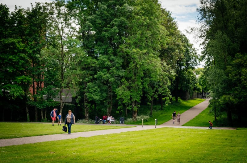 People Walking And Relaxing In A Green Park xciaci